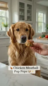 Homemade chicken meatball pup pops for dogs, healthy and tasty treats.